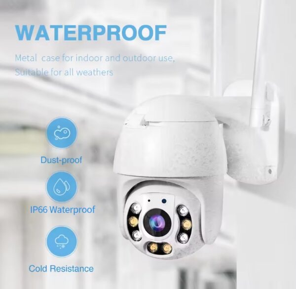 Importator Mreji Ely